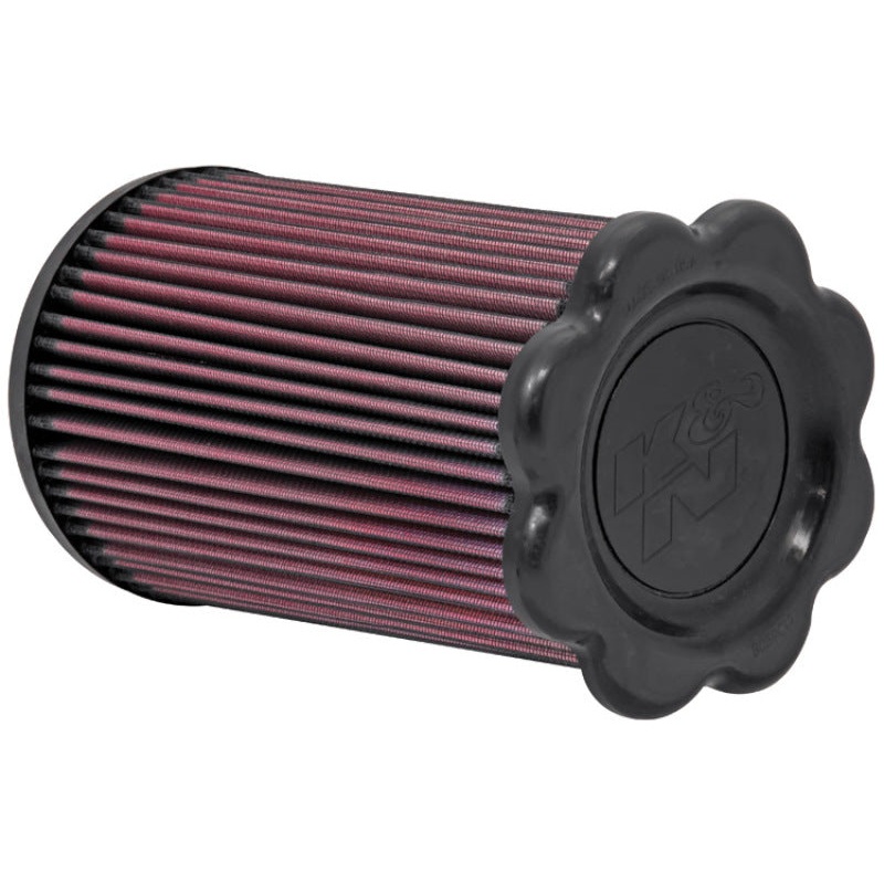 Earl’s Performance Plumbing 6001902ERL -2 St. S.S. Hose End